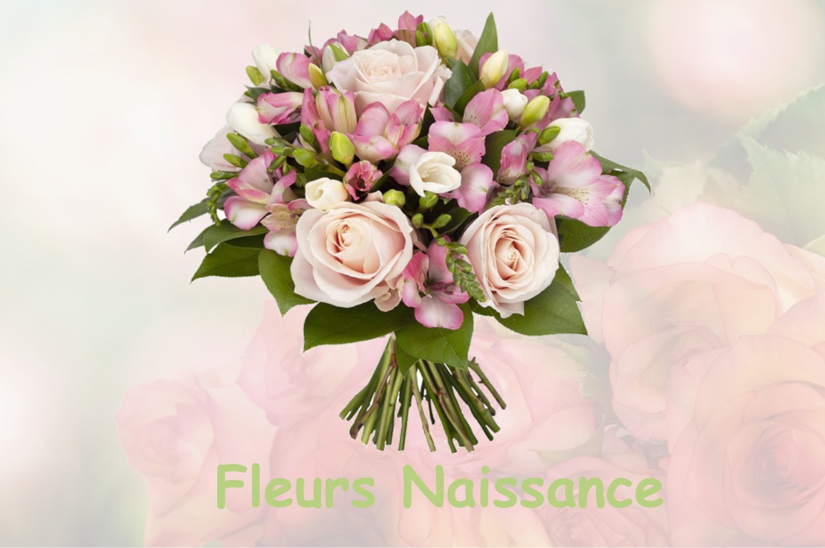 fleurs naissance BALAISEAUX