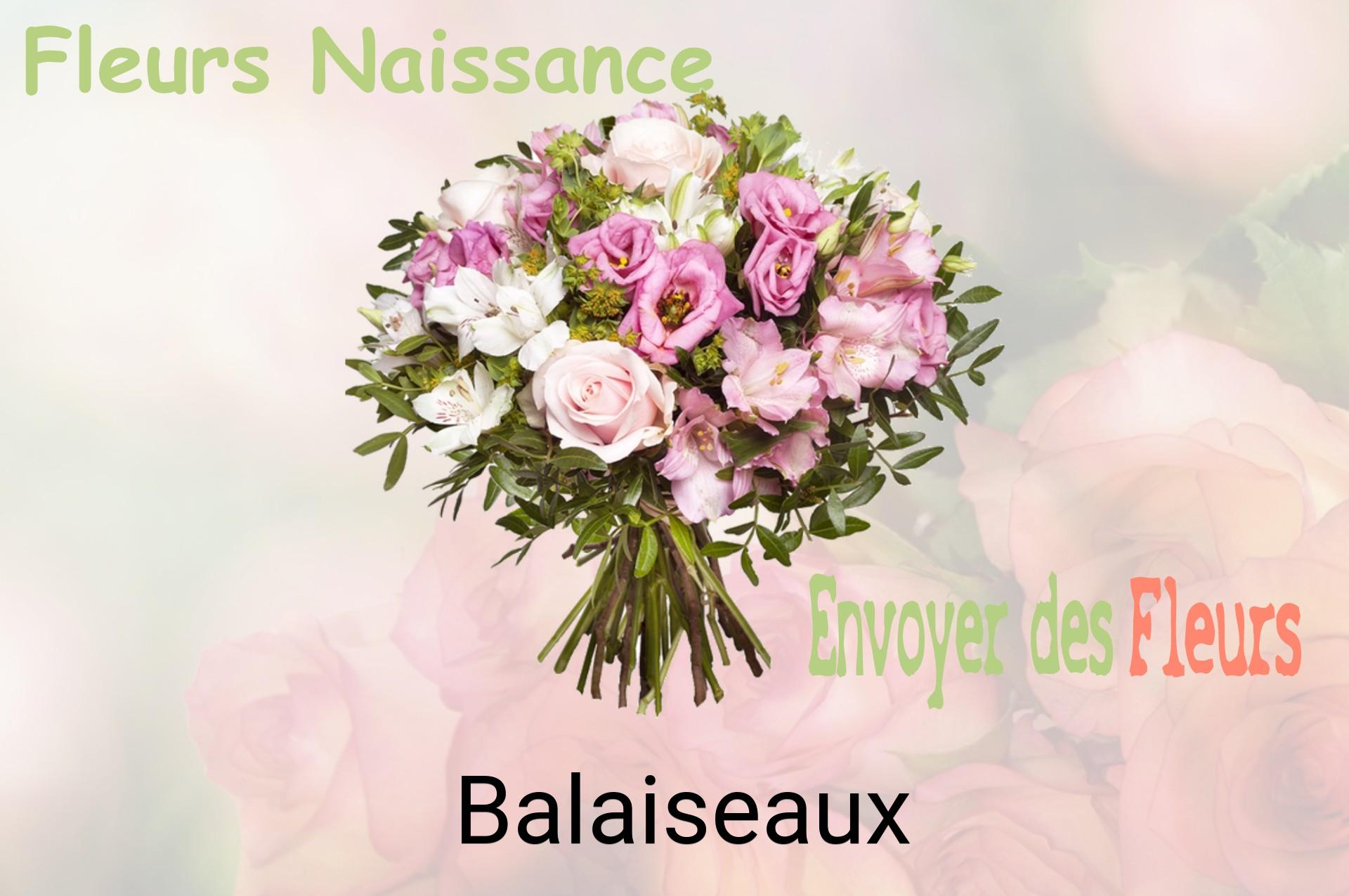Bouquet de fleurs de naissance livré à Balaiseaux