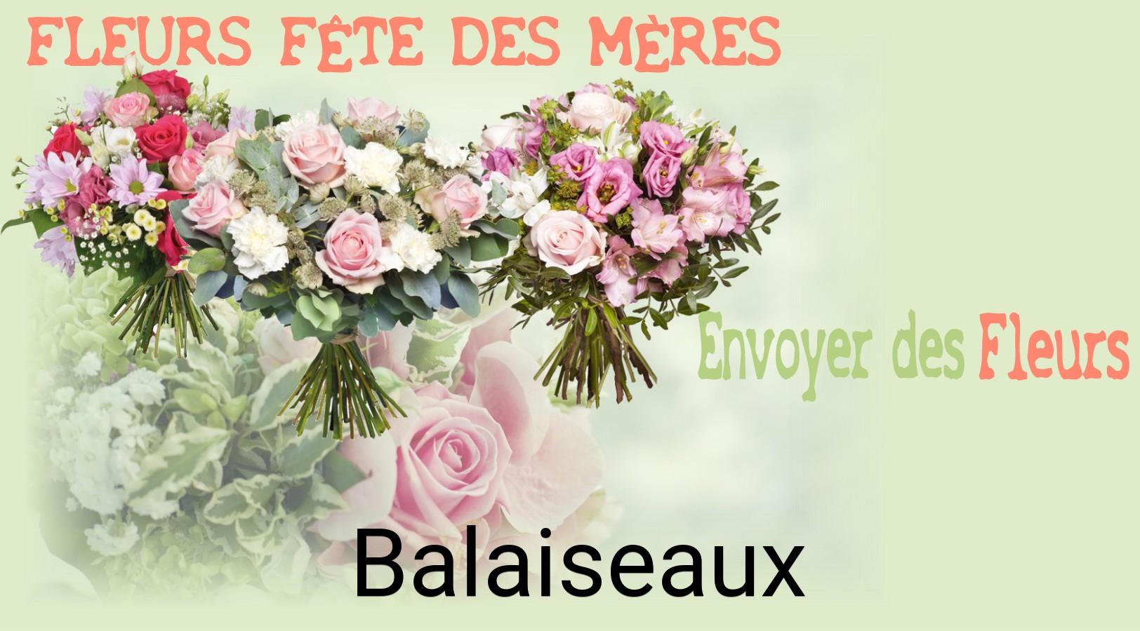 Bouquet de Fête des Mères livré à Balaiseaux
