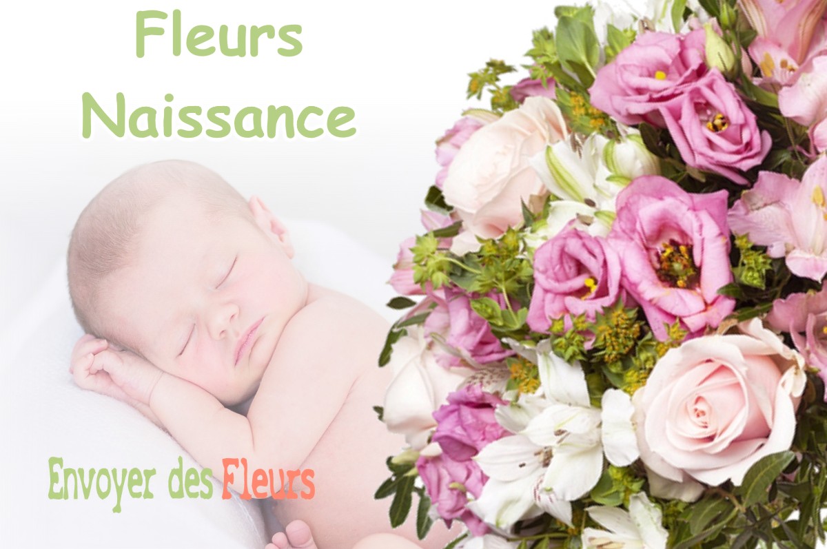 lIVRAISON FLEURS NAISSANCE à BALAISEAUX